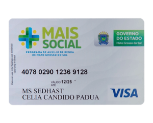 Cartões site MS2